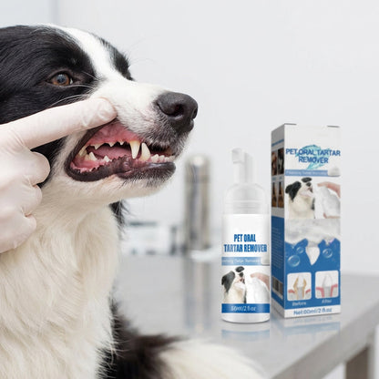 🐾 BUY 5 GET 5 FREE! ✨Pet Oral Care Foaming Tartar Remover