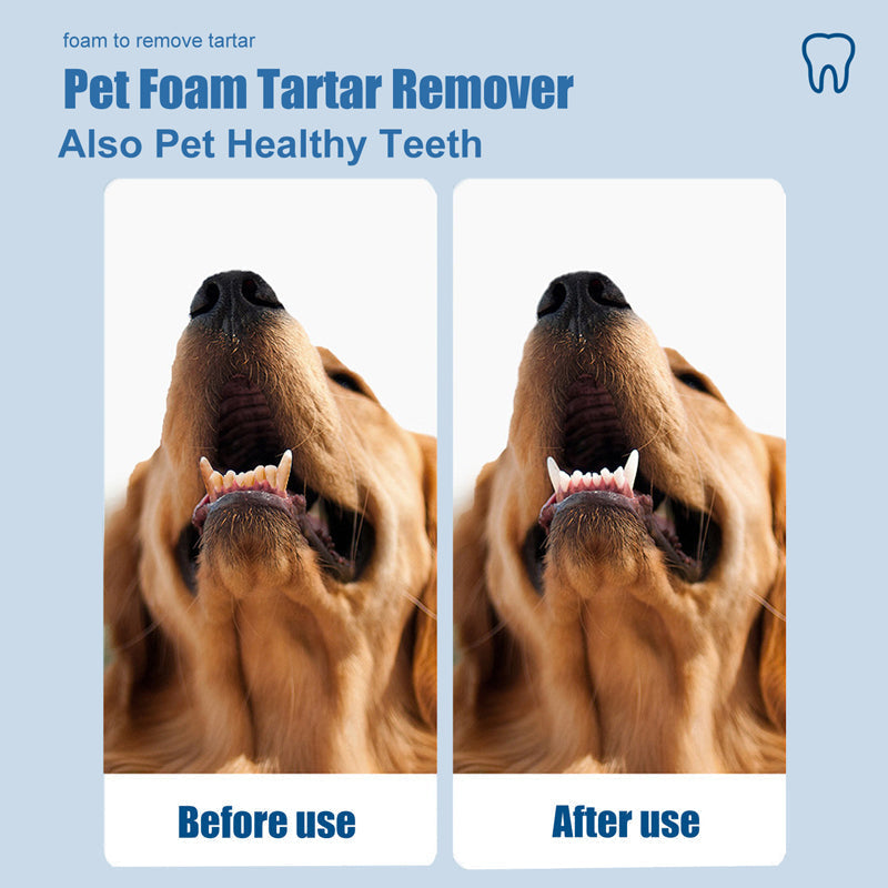 🐾 BUY 5 GET 5 FREE! ✨Pet Oral Care Foaming Tartar Remover