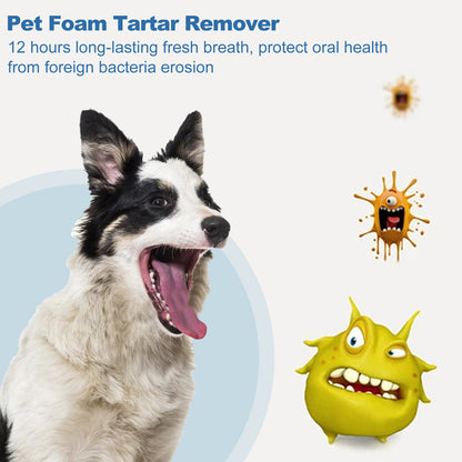 🐾 BUY 5 GET 5 FREE! ✨Pet Oral Care Foaming Tartar Remover