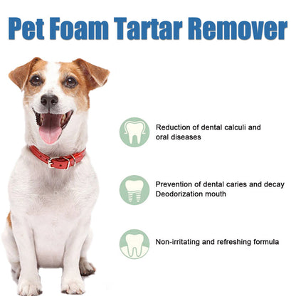 🐾 BUY 5 GET 5 FREE! ✨Pet Oral Care Foaming Tartar Remover
