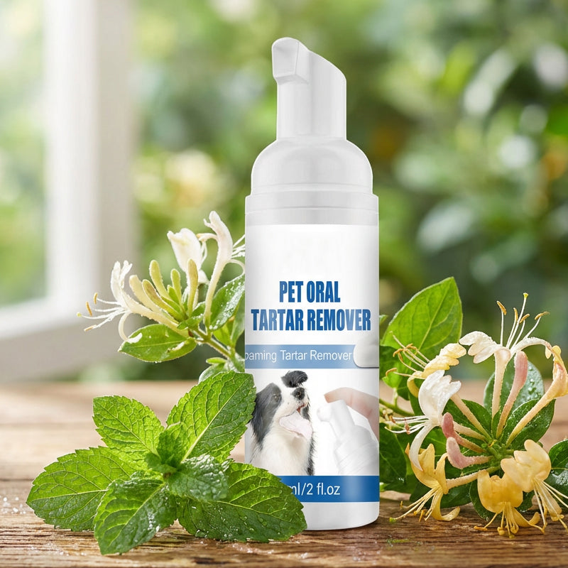 🐾 BUY 5 GET 5 FREE! ✨Pet Oral Care Foaming Tartar Remover